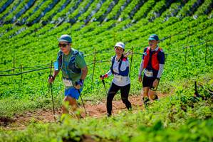 BIB: 1231, 346
                            <button type="button" onclick="openModal(19163318)" class="btn btn-primary btn-sm float-right btn-popup" data-toggle="modal" data-target=".modal-high-quality">
                        <i class="fas fa-shopping-cart"></i> Add to Cart
                    </button>
                                            <button type="button" onclick="isThisMe(19163318, true)" class="btn btn-success btn-sm float-right btn-popup btn-isme hidden" data-toggle="tooltip" data-placement="bottom" title="นี่คือรูปของคุณใช่ไหม คลิกที่นี่เพื่อเอาเข้าอัลบั้ม">
                        <i class="fas fa-plus"></i> Add to album
                    </button>
                    <button type="button" onclick="isThisMe(19163318, false)" class="btn btn-warning btn-sm float-right btn-popup btn-isnotme hidden">
                        <i class="fas fa-ban"></i> Remove from album
                    </button>